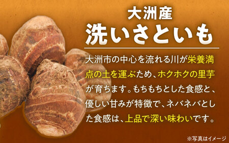 【冷凍】洗い 里芋 500g×3袋 里芋【10月上旬から順次発送】 [AGBN039]