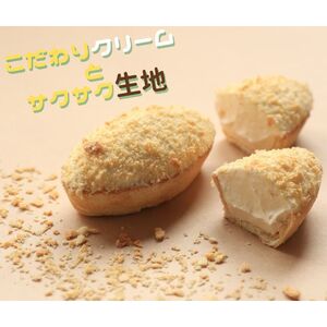 こだわりクリームの「生パイ」10個　008-G-CY001