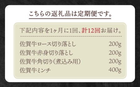 【全12回定期便】おふたりさま向け佐賀牛普段使いセットB HBH113 黒毛和牛 佐賀牛