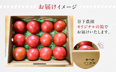 先行予約 ≪有機JAS認証≫ 大玉トマト 約 2kg（サイズ混合）【61-6】