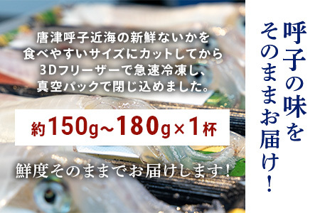 『先行予約』唐津呼子産いか活造り 1杯(約150g～180g)  急速冷凍 新鮮そのまま食卓へ！イカ 刺身 簡単 ギフト ※水揚げあり次第6月以降順次発送させていただきます。