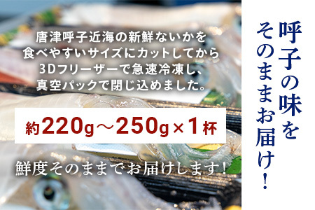 『先行予約』唐津呼子産いか活造り 1杯(約220g～250g) 急速冷凍 新鮮そのまま食卓へ！イカ 刺身 簡単 ギフト ※水揚げあり次第6月以降順次発送させていただきます。