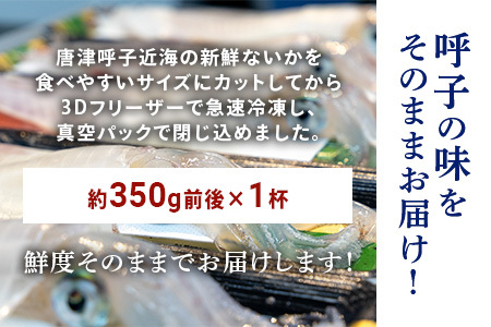 『先行予約』唐津呼子産いか活造り 1杯(約350g前後) 急速冷凍 新鮮そのまま食卓へ！イカ 刺身 簡単 ギフト ※水揚げあり次第6月以降順次発送させていただきます。