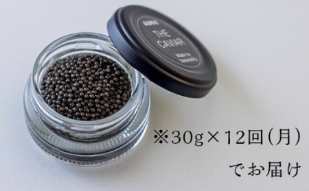 【定期便 12ヶ月】THE・CAVIAR（ザ・キャビア）30g　TF0496-P00066
