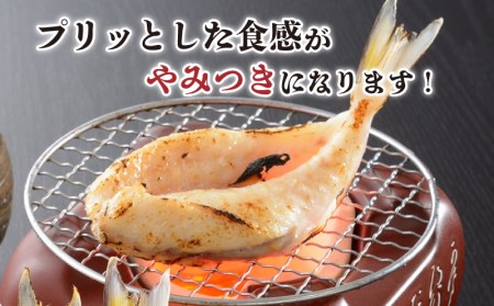 ふぐ 一夜干し 250g ふぐ FG