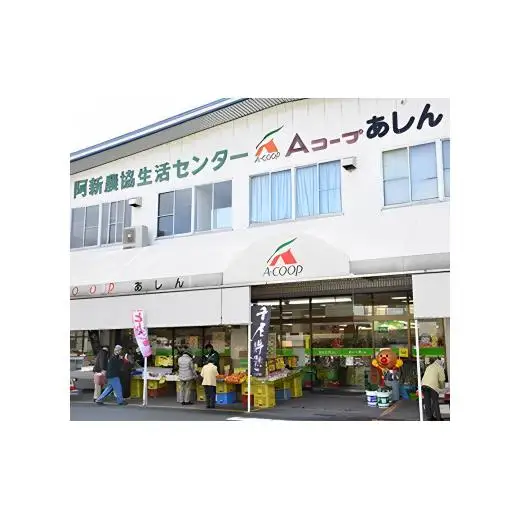 阿新豚ロースステーキ 800g