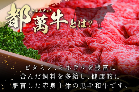 黒毛和牛＜都萬牛＞焼肉 300g×2パック 計600g【C383-2603】