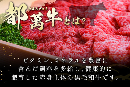 黒毛和牛＜都萬牛＞ロースすきしゃぶ 300g×2パック 計600g すきやき しゃぶしゃぶ【C384-2603】