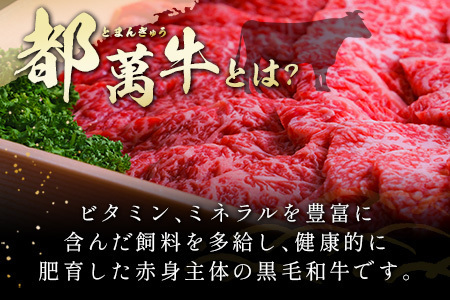 黒毛和牛＜都萬牛＞ロースステーキ（180g×2枚）合計360g【C385-2603】