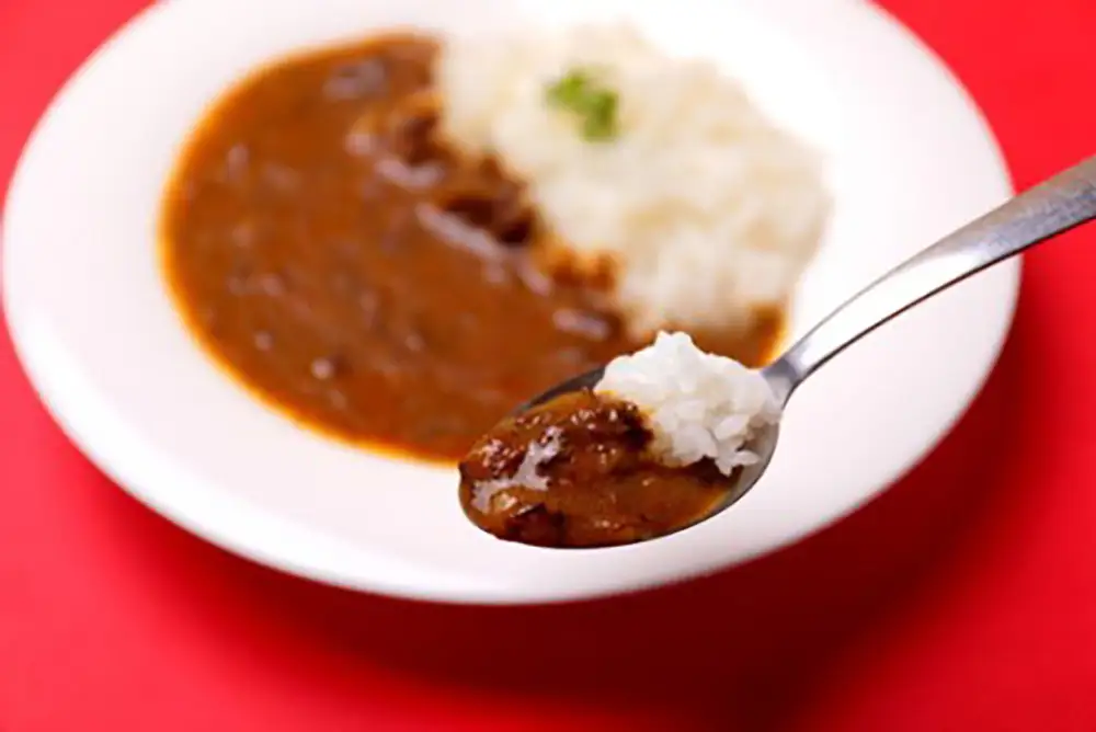 近江牛 カレー 200g×5パック ＆ 近江牛 ハンバーグ 150g×6個 【AB78W】 牛肉
