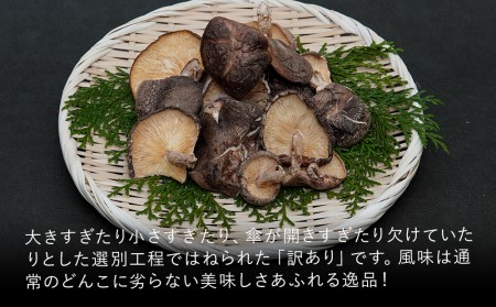 乾燥椎茸 訳あり 椎茸100g×5パック | 乾しいたけ 干し椎茸 干ししいたけ 乾燥しいたけ 干しシイタケ 原木 大分県産 九州産 中津市 国産 送料無料