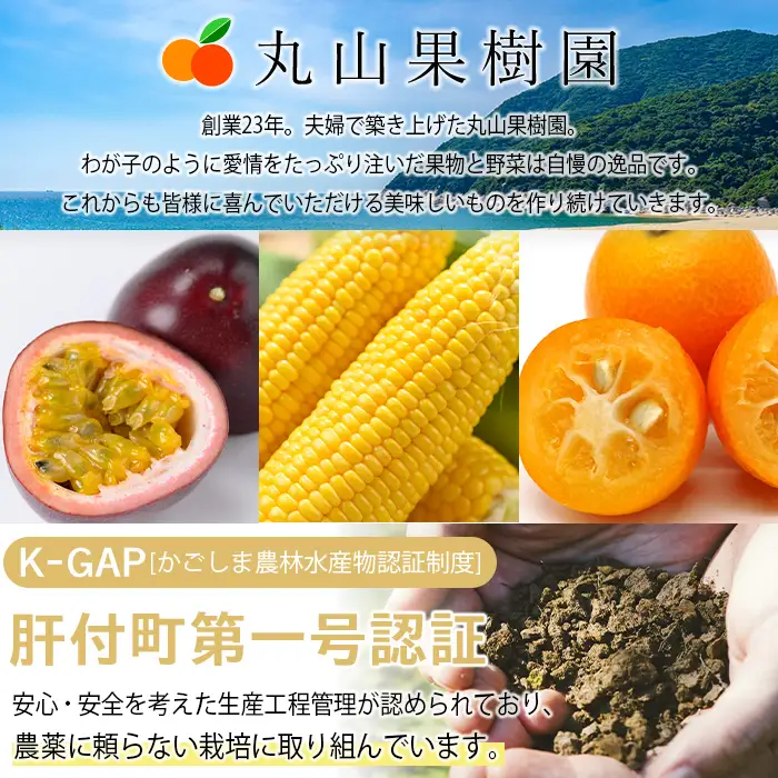 【A68002】期間限定 鹿児島県産 パッションフルーツ 約2.2kg 12玉入り2箱【丸山果樹園】