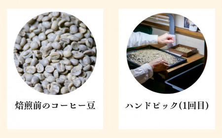 コーヒー豆 花野子 ブレンド 500g コーヒー豆