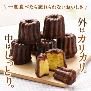 【ふるさと納税】かつらぎカヌレ 1箱6個入【F002-iskt002】