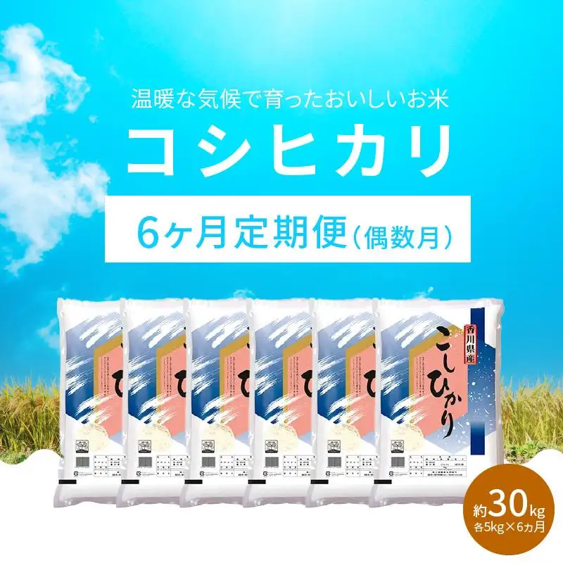 【6ヶ月定期便】計約30kg 偶数月 おいしいコシヒカリ約5kg