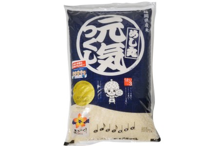 米 元気つくし 5kg 白米 精米 お米/ 松尾米穀店 / 福岡県 筑紫野市