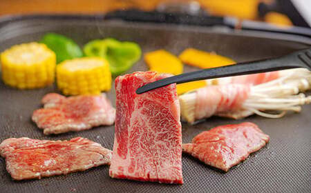 宮崎牛焼肉（うで肉）約500g　TF0568-P00012