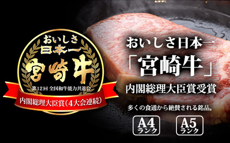 宮崎牛焼肉（肩ロース）約600g TF0573-P00012