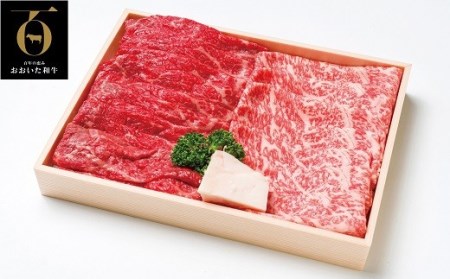 おおいた和牛モモ・ロースすき焼き肉(500g)＆豊後牛ハンバーグ(9個)贅沢セット | 豊後高田市 すき焼き