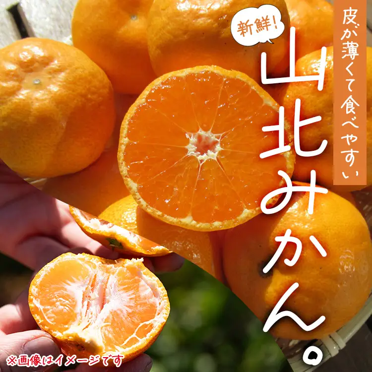 みかん 約3kg 小玉 みかん th-0028
