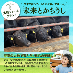 ビーフシチュー 360g × 2個 ビーフカレー 220g × 2個 セット 未来とかち牛 100％ 使用 レトルト 時短 お取り寄せ グルメ 送料無料 北海道 十勝 芽室町me007-009c
