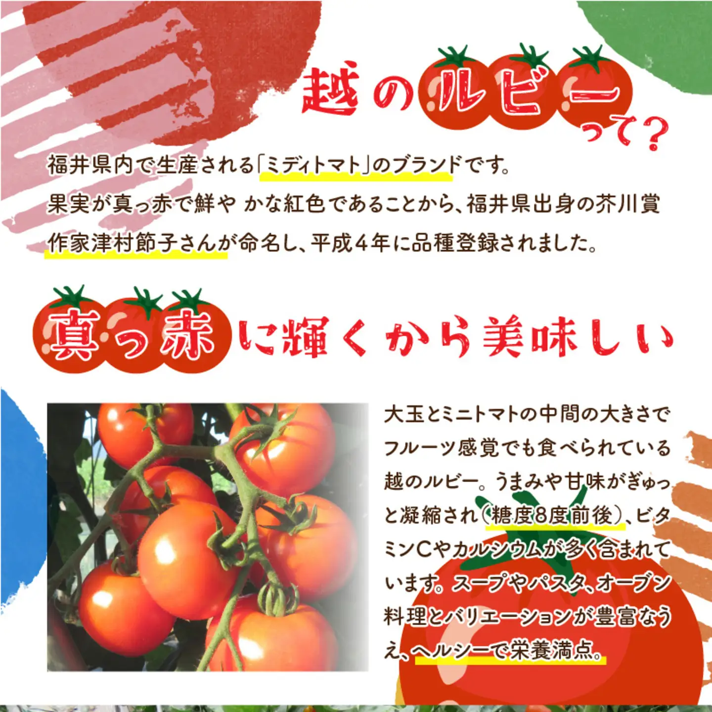 絶品！野菜のコクとうまみ 越のルビー トマト カレー 210g（袋入り）×5袋