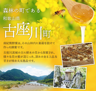希少ハチミツ 南紀熊野蜜 1kg（1000g瓶×1個） / 古座川流域で採取した日本みつばちのはちみつ 南紀熊野蜜E はちみつ 国産 日本ミツバチ 【tkd204】