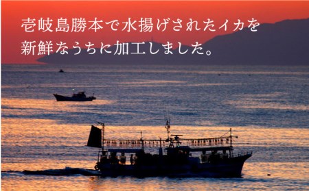 剣先イカ 刺身 （中） 3杯  [JEW003] イカ