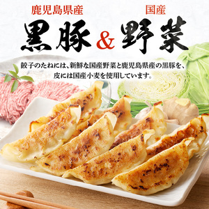 極旨黒豚餃子_極旨黒豚餃子 （23g×20 個）×5 袋 餃子 100個 三桃食品 おべんとうのヒライ 鹿児島県産 黒豚 肉 豚肉 国産 極旨 黒豚餃子 食品 食べ物 おかず おつまみ 水餃子 揚げ餃子 冷凍 簡単調理 カリカリ もっちり 福岡 久留米 お取り寄せ お取り寄せグルメ 送料無料 〔Cx221〕