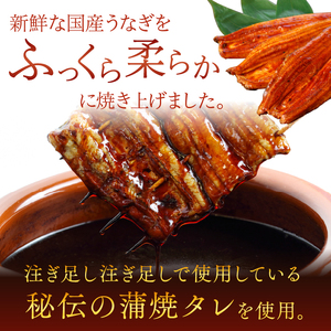やわらか国内産うなぎ蒲焼満足サイズ！120～140g 2尾　計240g以上|うなぎ 鰻 蒲焼 満足 茨城県 行方市(AD-85-1)