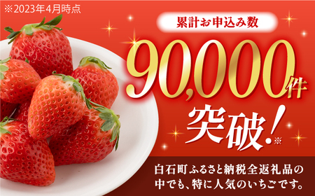 【先行予約】【2027年1月以降発送】【3回定期便】いちご「さがほのか」約150g×6P/回（計2.7kg） /  いちご [IAA031]
