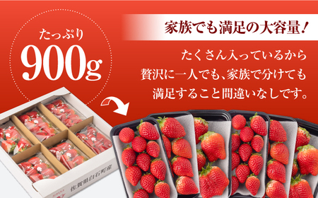 【先行予約】【2027年1月以降発送】【3回定期便】いちごさん 計2.7kg /  いちご [IAA032]