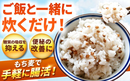 【6回定期便】白石産もち麦900g 計5.4kg / もち麦 [IAA035]