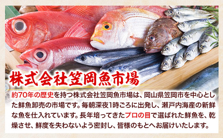 熟成干物セット 5~7種セット 魚