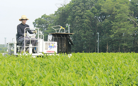 三芳町産狭山茶の詰め合わせ（高級煎茶100ｇ×3本） 銘茶 煎茶 緑茶 お茶 抗酸化作用 カテキン鮮やか 色合い 旨み 渋み 茶匠の技 国産 FAA-106