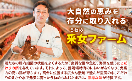 うねめもみじたまごとマヨネーズセット 卵 マヨネーズ