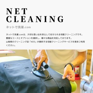 ネットで洗濯 クリーニング 券 3,000円分 166-004 ネット 洗濯 服 帽子 キャップ ダウンジャケット マウンテンパーカー かばん ぬいぐるみ