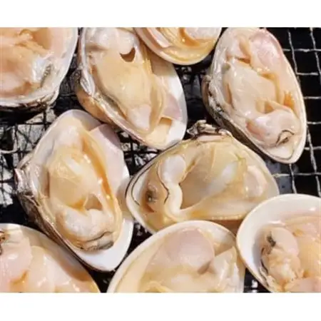 天然はまぐり約1.5kg (千葉県産)_蛤 ハマグリ 海鮮 貝 出汁 だし_【配送不可地域：離島・沖縄県】【1306034】