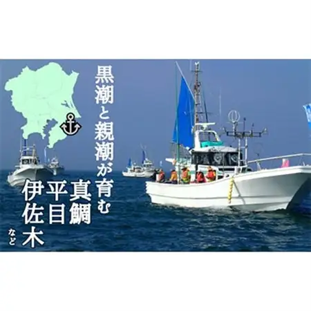 釣り船乗船券1名様(10,000円分)_釣り船 乗船券 レジャー アウトドア_【1395872】