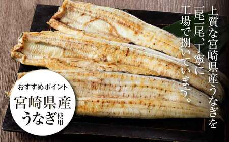 宮崎県産うなぎ白焼き 5尾セット_K10_0012_3