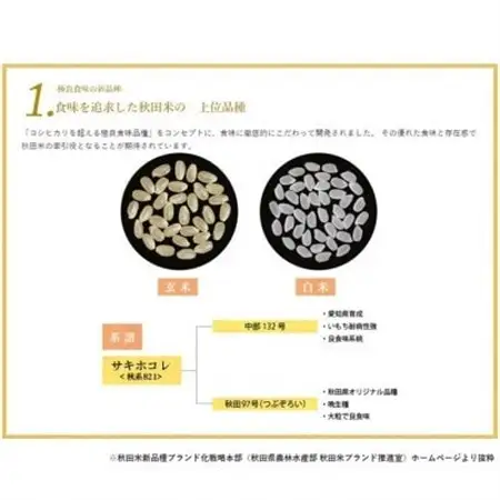 予約受付開始!サキホコレ2kg(精米)特栽米　白米　令和7年産　11月初旬発送予定【配送不可地域：離島・沖縄県】【1319499】