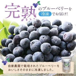 福岡県産 冷凍ブルーベリー 500g_ブルーベリー 冷凍 500g 1パック 福岡県産 果物 フルーツ 冷凍フルーツ デザート おやつ 冷凍食品 食品  お取り寄せ お取り寄せフルーツ 美味しい 九州 国産 トッピング アレンジ ヨーグルト シャーベット アイスクリーム スムージー 久留米市 送料無料 〔Fx010〕