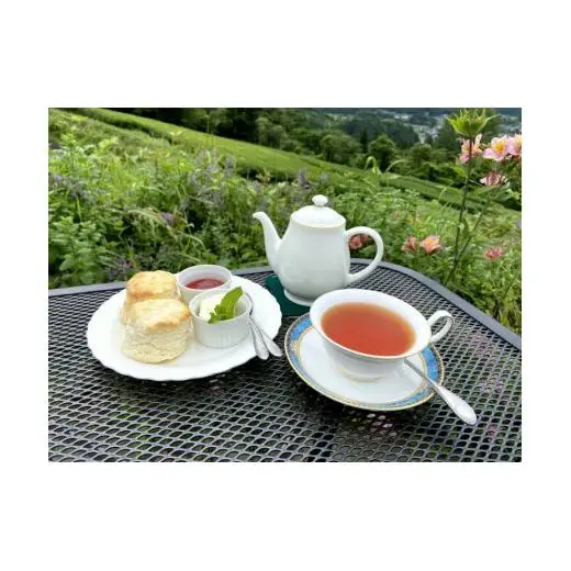 新見産紅茶2箱（ストレートブレンド/ティーバッグ）