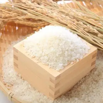 【令和7年産】「米屋のこだわり阿賀野市産」 無洗米コシヒカリ便利な小分け1合×20袋 新潟県 米 こめ コメ 白米 精米 1E07013