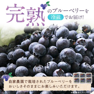 福岡県産 ブルーベリー生果 480g_福岡県産 生果 ブルーベリー 80g × 6パック 計 480g 耳納連山 麓 筑後川 恵み 国産 果物 フルーツ 新鮮 冷蔵 冷凍保存可 デザート グルメ お取り寄せ お取り寄せグルメ 九州 福岡県 久留米市 送料無料 〔Fx009〕