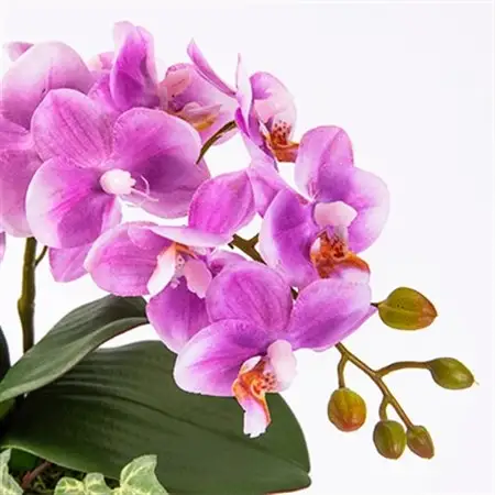 光触媒胡蝶蘭(アーティフィシャルフラワー)1本立て(ピンク)_花・観葉植物 造花・プリザーブドフラワー 花 _【1315295】