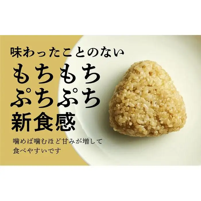 冷凍玄米おにぎり詰め合わせ（10個セット）