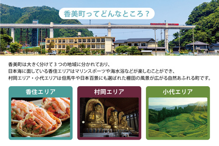 香美町 宿泊補助券 町内 共通 12000円分 有効期限3年 チケット 25-04
