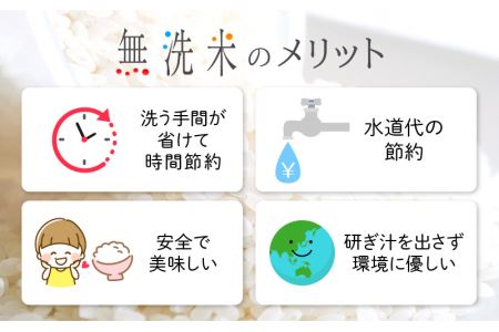 【6回定期便】無洗米 いちほまれ 10kg 特A 福井県 無洗 [e27-n008]