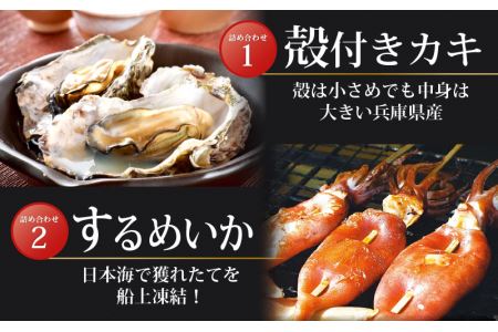 厳選！海鮮BBQ≪A≫セット（6種13品、3～4人用） 牡蠣 イカ ホタテ エビ サザエ  アワビ バーベキュー 冷凍便 お手軽 [e04-a069]